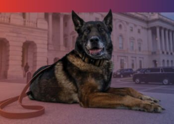 Fetch, a dvm360 conference Sep 18–19 2026